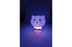 Светильник ARTSTYLE Кот с книгой светодиодный аккумуляторный, 9 цветов свечения 1Вт TL-908M - фото 100194