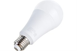 Лампа Gauss LED A70 22W Е27 4100K 102502222 - фото 101059