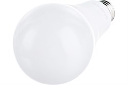 Лампа Gauss LED A70 22W Е27 4100K 102502222 - фото 101060
