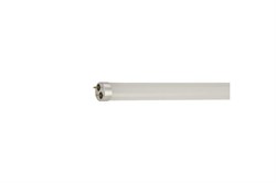 Лампа GAUSS LED Elementary T8 1200мм G13 24W 2000Lm 4000K стекло 93024 - фото 101267