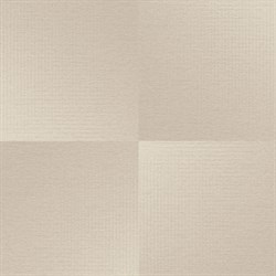 Обои EURO DECOR Bauhaus фон 8052-01 виниловые 1,06*10,05м (1упак-6рул) - фото 110526