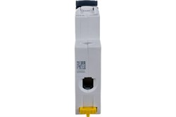 Автомат выкл-ль SCHNEIDER ELECTRIC Acti9 iK60N 1П 10А С A9K24110 - фото 119784
