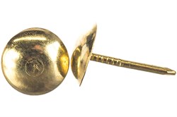 Гвозди СТРОЙБАТ декор. 9,5мм латунь (100шт) Element 21120 - фото 120558