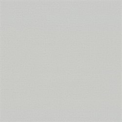 Обои EURO DECOR Artisan фон 9200-20 виниловые 1,06*10,05м (1упак-6рул) - фото 124282