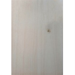 Керамогранит MK-CERAMICS Select Wood Cream 30*60 - фото 144590