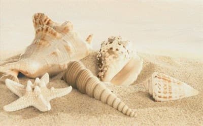 Декор UNITILE Amalfi sand dekor 01 250*400 - фото 23139