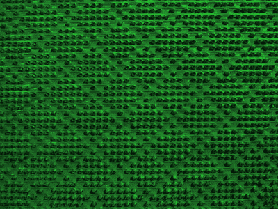 Покрытие ковровое щетинистое в рулонах 15*0,9м арт.263 Зеленый - фото 5906