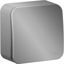 Выключатель SCHNEIDER ELECTRIC Blanca 1кл О/У изол.пл. 10А, алюминий BLNVA101013 - фото 79847