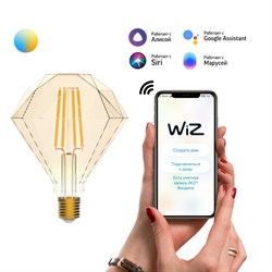 Лампа Gauss LED Smart Home Filament Diamond 6,5W 720Lm E27 2000-5500К изм.цвет.темпр.+дим. 1370112 - фото 95430