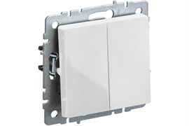 Выключатель BRITE 2-кл. 10А в сборе, белый BR-V20-0-10-K01-F
