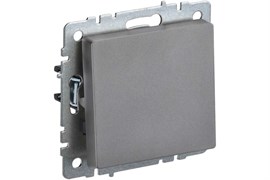 Выключатель BRITE 1-кл. 10А сталь BR-V10-0-10-K46