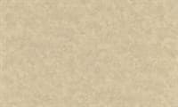 Обои AS Германия (Jungle) 96095-4 1,06*10,05м (1упак-6рул)