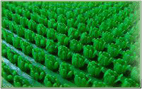 Покрытие ковровое KOVROFF щетинистое в рулонах 15*0,9м 163 зеленый