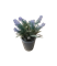 Растение искусственное ЛАВАНДА в горшке 20см, ассортимент 317002150 - фото 131650