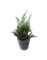 Растение искусственное ЛАВАНДА в горшке 20см, ассортимент 317002150 - фото 131652