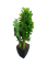 Растение искусственное в горшке 65см, в ассортименте 318000030 - фото 131752