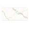 Плитка TSC облицовочная 30*60 TP3683A - фото 143697
