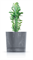 Горшок цветочный TUBO P BETON EFFECT бетон DPOP200E-422U - фото 144462