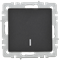 Выключатель BRITE 1-кл. с индикатором 10А черный BR-V10-1-10-K02 - фото 145018