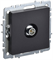 Розетка BRITE TV оконечная, черная BR-A10-O-K02 - фото 145090