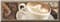Декор ALMA CERAMICA Liberi 150*400*9 DWU06LIB424 - фото 21539