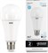 Лампа GAUSS LED Elementary A67 35W E27 2790Lm 6500K 70235 - фото 67490