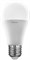 Лампа светодиодная ERGOLUX LED-A60-17W-E27-6K 13181 - фото 92679