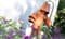 Горшок цветочный GLINKA терракотовый DGA15-R624 - фото 9439